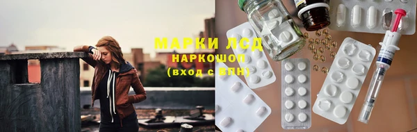 прущие грибы Каменск-Шахтинский