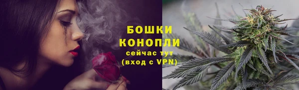 соль курить ск Каменногорск
