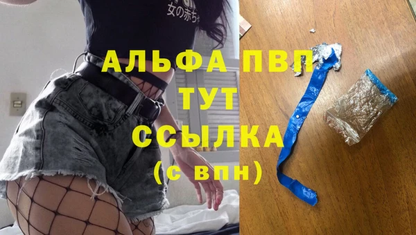 прущий лед Инсар