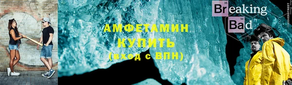прущие грибы Каменск-Шахтинский