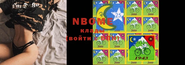 прущие грибы Каменск-Шахтинский
