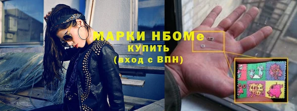 прущий лед Инсар